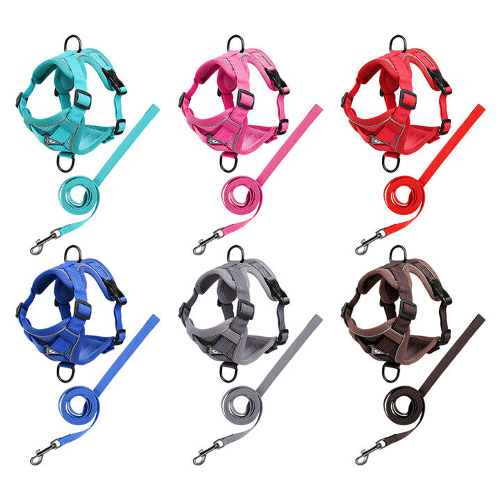Soft Adjustable Harness & Leash for Small Pets