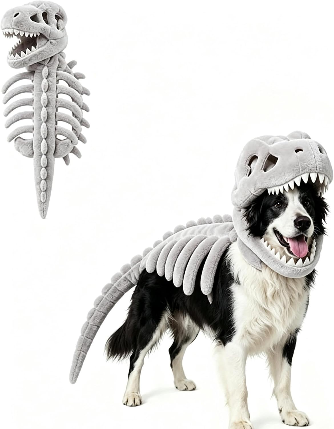 Dino Dog Costume Dinosaur Skeleton Pet Outfit