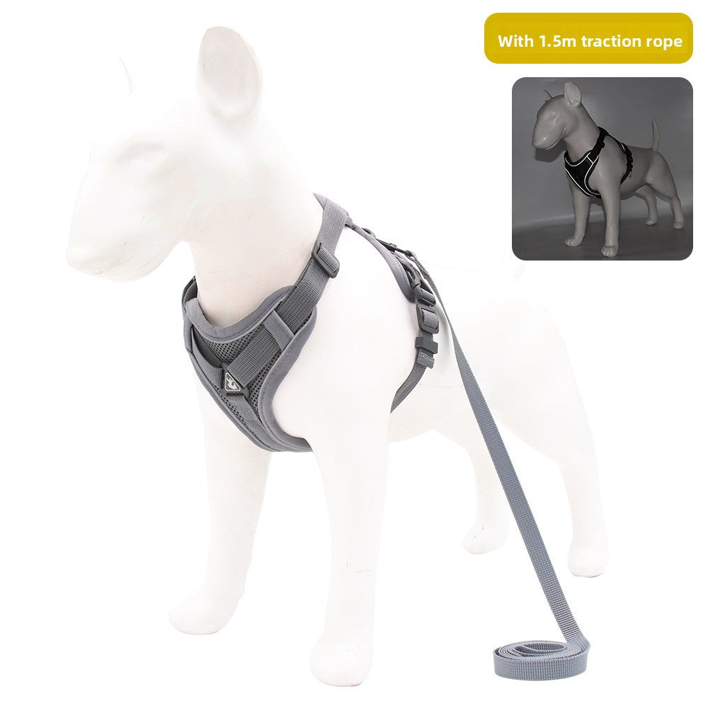 Soft Adjustable Harness & Leash for Small Pets