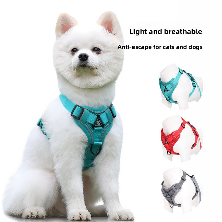 Soft Adjustable Harness & Leash for Small Pets