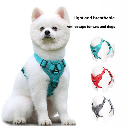 Soft Adjustable Harness & Leash for Small Pets